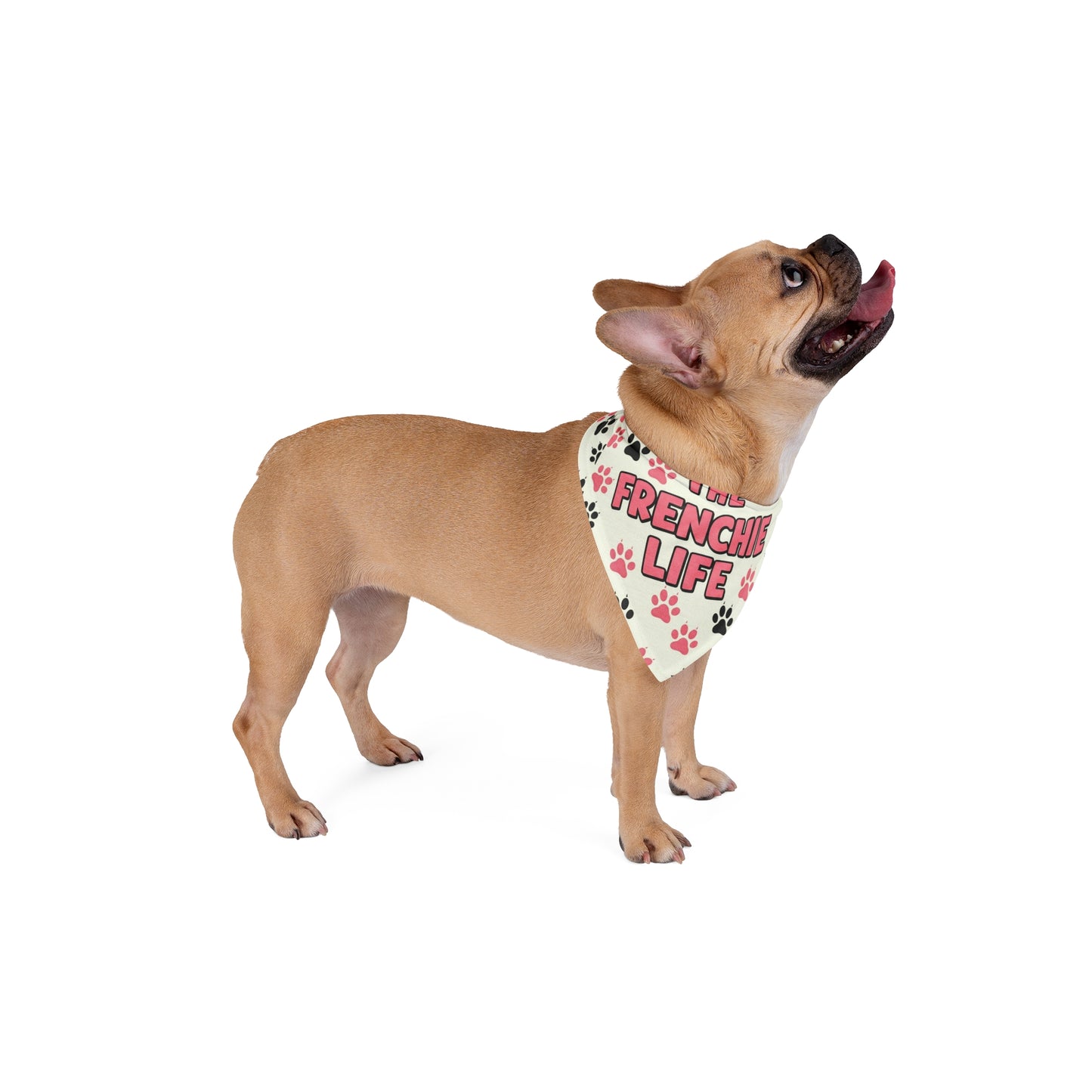 The Frenchie Life Bandana (Pink and Black)