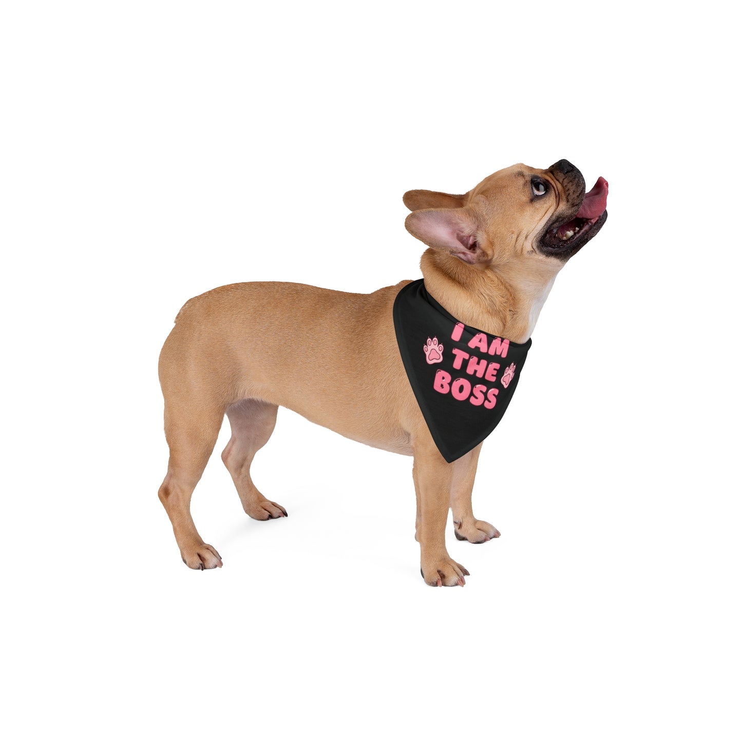 I Am The Boss Frenchie Bandana (Pink)