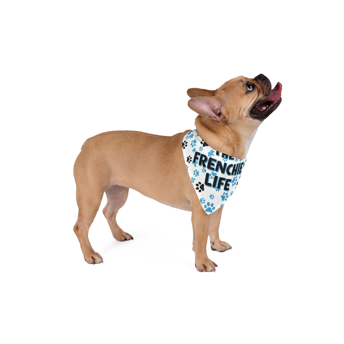 The Frenchie Life Bandana (Blue and Black)